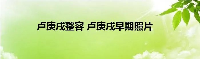 卢庚戌整容 卢庚戌早期照片