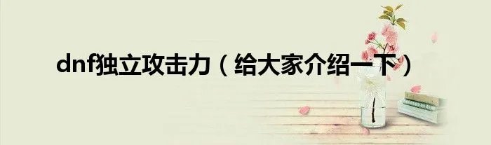 dnf独立攻击力(给大家介绍一下)