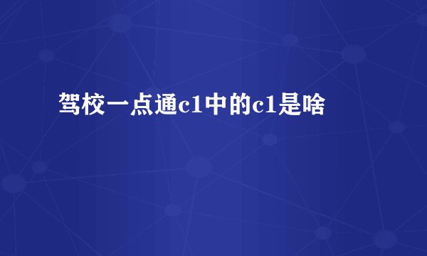 驾校一点通c1中的c1是啥