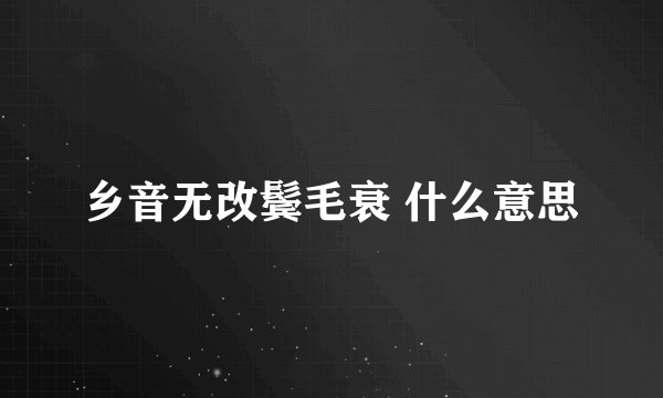 乡音无改鬓毛衰 什么意思