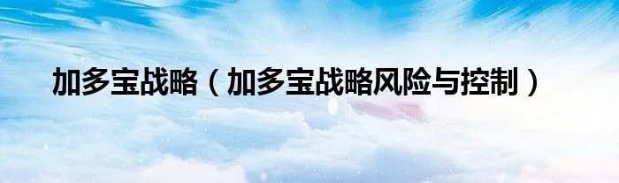 加多宝战略（加多宝战略风险与控制）