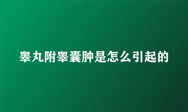 睾丸附睾囊肿是怎么引起的