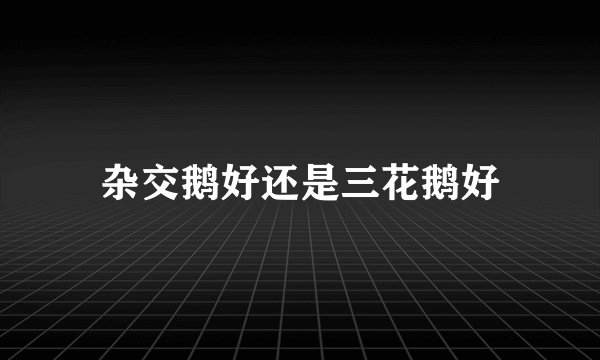 杂交鹅好还是三花鹅好