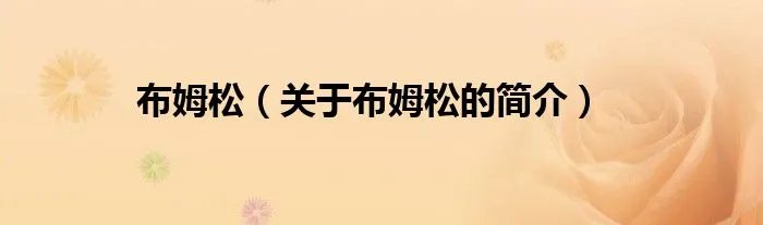 布姆松（关于布姆松的简介）