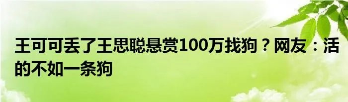 王可可丢了王思聪悬赏100万找狗?网友:活的不如一条狗