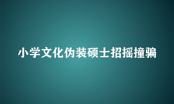 小学文化伪装硕士招摇撞骗