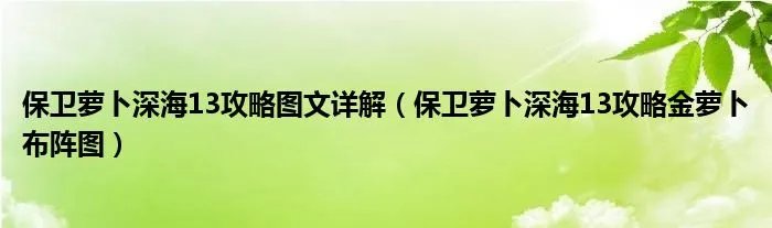保卫萝卜深海13攻略图文详解（保卫萝卜深海13攻略金萝卜布阵图）