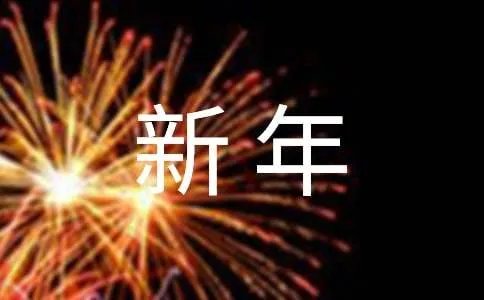 新年的资料简介