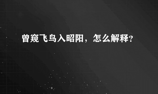 曾窥飞鸟入昭阳，怎么解释？
