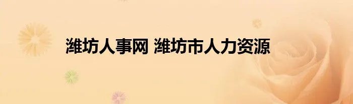 潍坊人事网 潍坊市人力资源