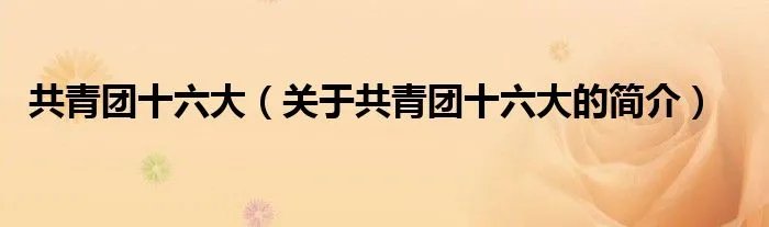 共青团十六大（关于共青团十六大的简介）