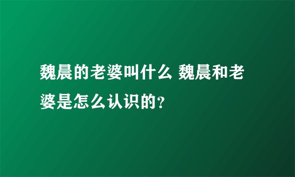 魏晨的老婆叫什么 魏晨和老婆是怎么认识的?