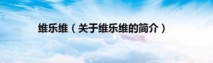 维乐维（关于维乐维的简介）