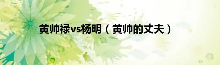 黄帅禄vs杨明（黄帅的丈夫）