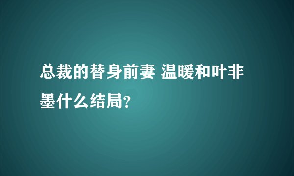 总裁的替身前妻 温暖和叶非墨什么结局？
