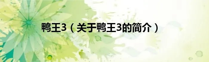 鸭王3（关于鸭王3的简介）