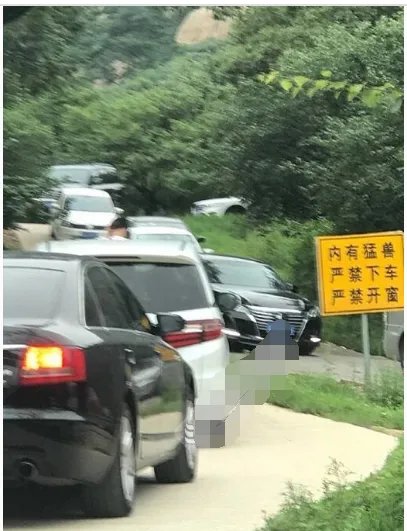 八达岭动物园儿童探身出车你该不该对自己负责?