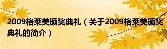 2009格莱美颁奖典礼（关于2009格莱美颁奖典礼的简介）