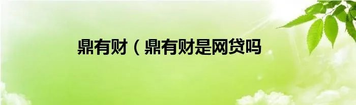 鼎有财（鼎有财是网贷吗