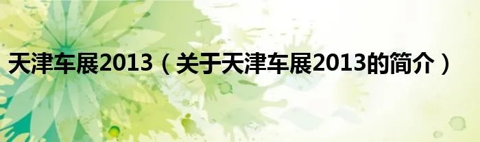 天津车展2013（关于天津车展2013的简介）