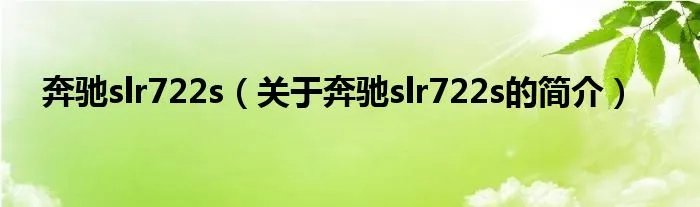 奔驰slr722s（关于奔驰slr722s的简介）