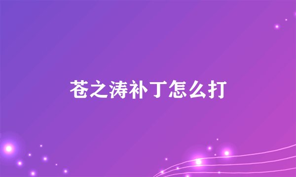 苍之涛补丁怎么打