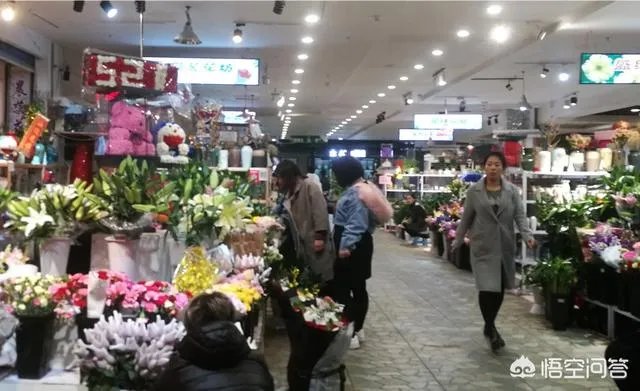 长春有哪些花鸟鱼市场?
