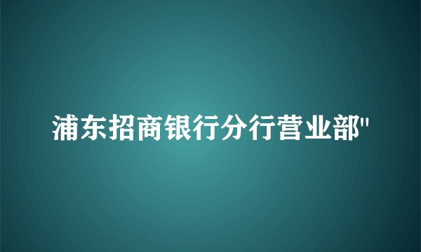 浦东招商银行分行营业部