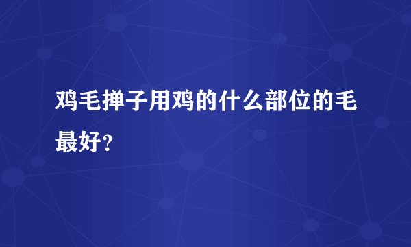 鸡毛掸子用鸡的什么部位的毛最好?