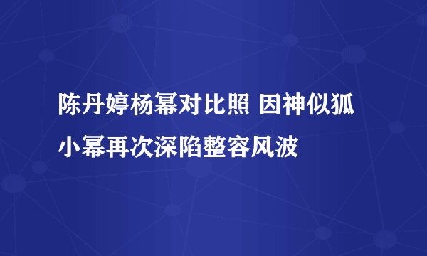 陈丹婷杨幂对比照 因神似狐小幂再次深陷整容风波