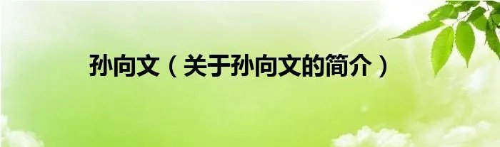 孙向文（关于孙向文的简介）