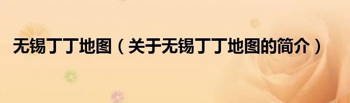 无锡丁丁地图（关于无锡丁丁地图的简介）