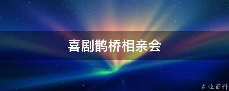 喜剧鹊桥相亲会
