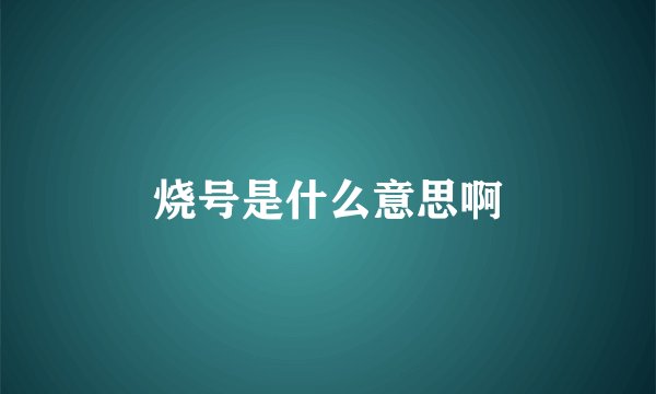 烧号是什么意思啊