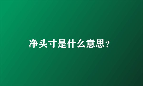 净头寸是什么意思？