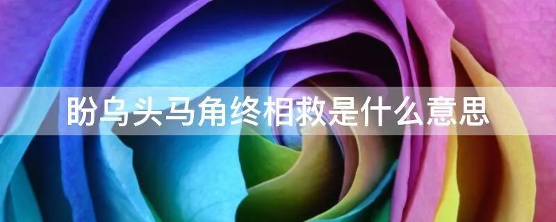 盼乌头马角终相救是什么意思