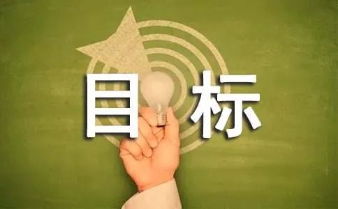 目标的作文