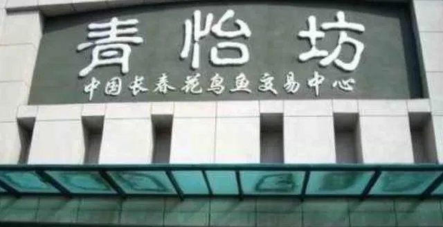 长春有哪些花鸟鱼市场?