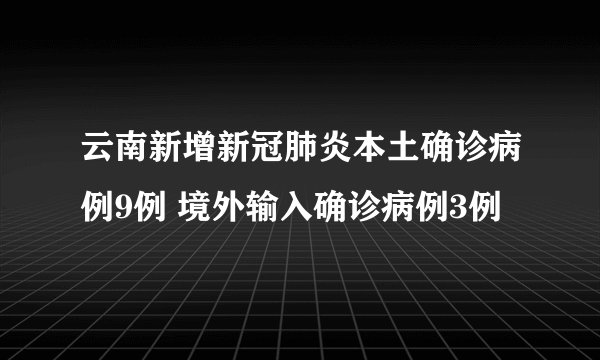 云南新增新冠肺炎本土确诊病例9例 境外输入确诊病例3例