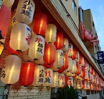 真我X50 Pro详细参数_真我X50 Pro评测