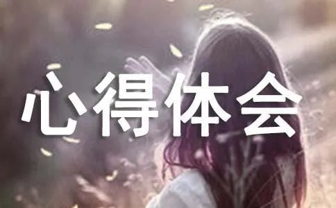 执行重在到位心得体会