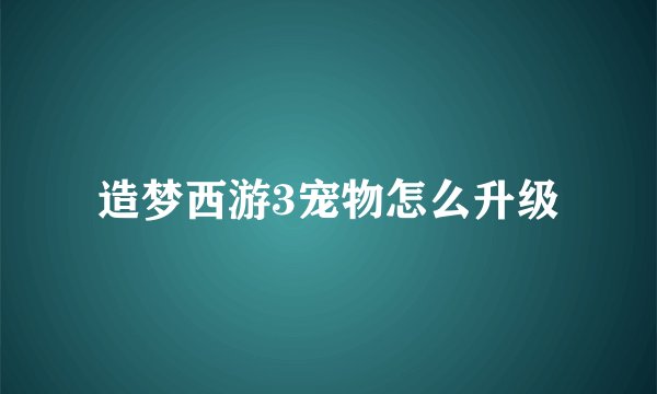 造梦西游3宠物怎么升级