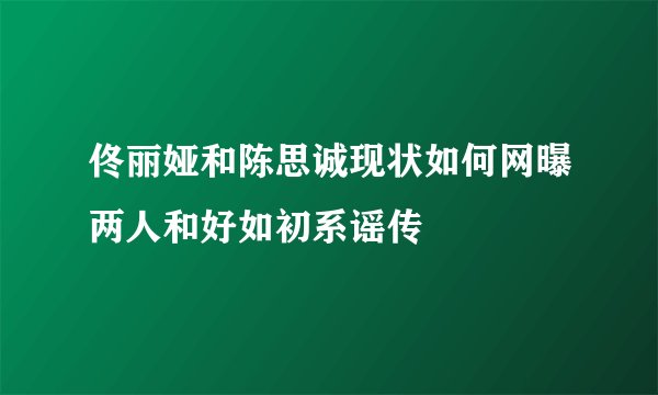 佟丽娅和陈思诚现状如何网曝两人和好如初系谣传