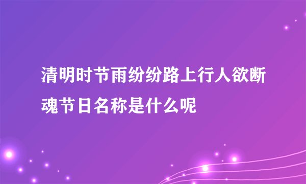 清明时节雨纷纷路上行人欲断魂节日名称是什么呢
