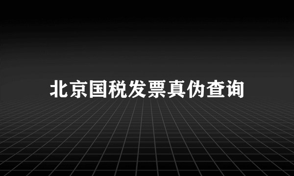 北京国税发票真伪查询