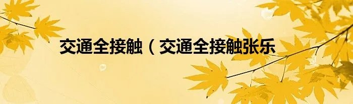交通全接触（交通全接触张乐