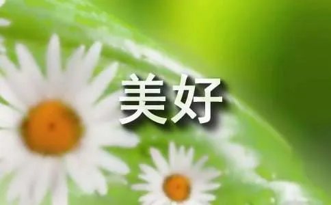 美好的回忆作文300字