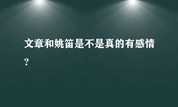 文章和姚笛是不是真的有感情？