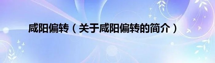 咸阳偏转（关于咸阳偏转的简介）