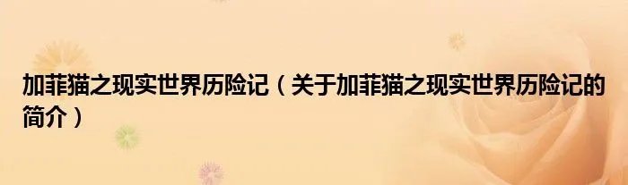 加菲猫之现实世界历险记（关于加菲猫之现实世界历险记的简介）